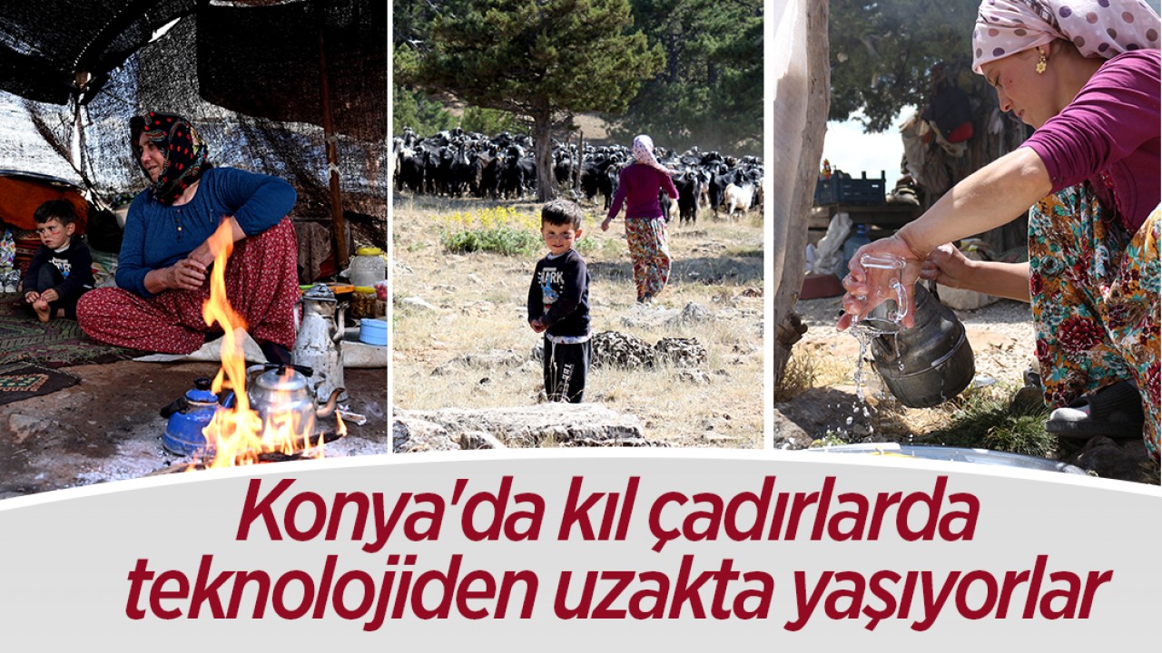 Konya'da kıl çadırlarda teknolojiden uzakta yaşıyorlar 