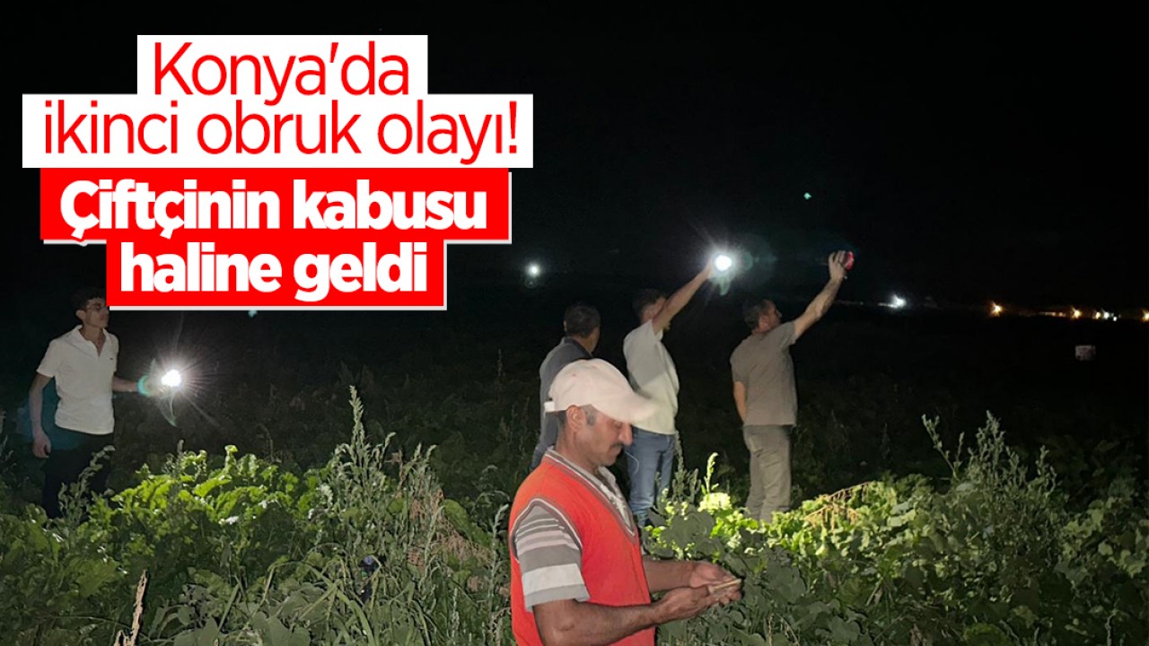 Konya’da ikinci obruk olayı! Çiftçinin kabusu haline geldi