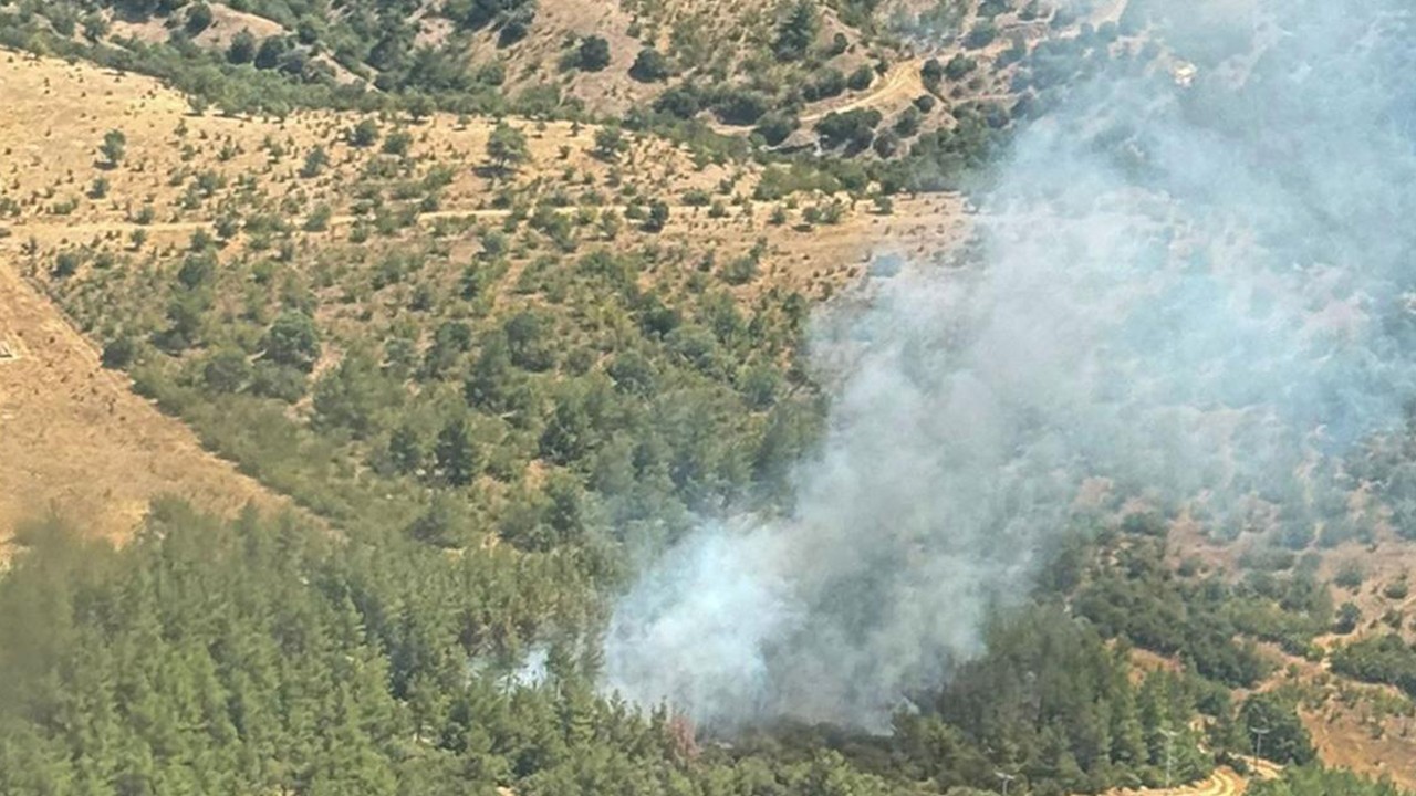 Balıkesir’de orman yangını