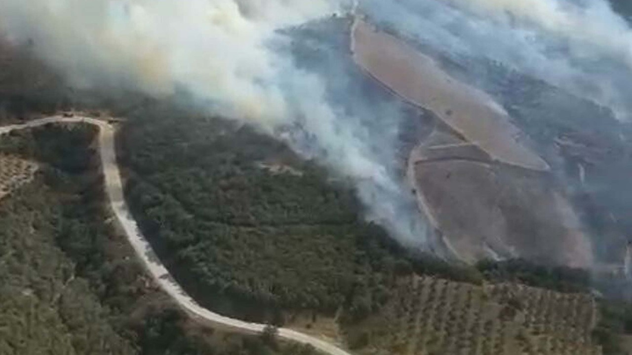 Manisa’da orman yangını