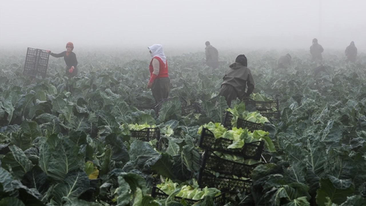 Üreticilere 7 ayda 3 milyar liranın üzerinde hasar tazminatı ödendi