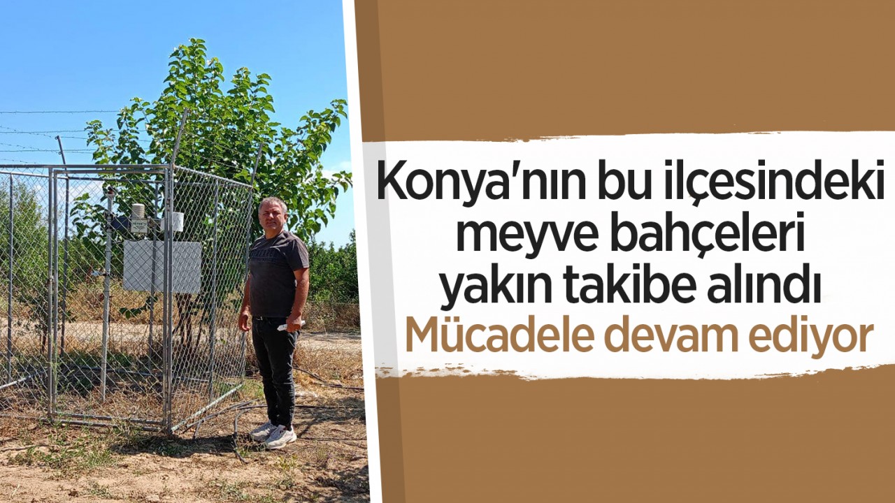 Konya'nın bu ilçesindeki meyve bahçeleri yakın takibe alındı! Mücadele devam ediyor