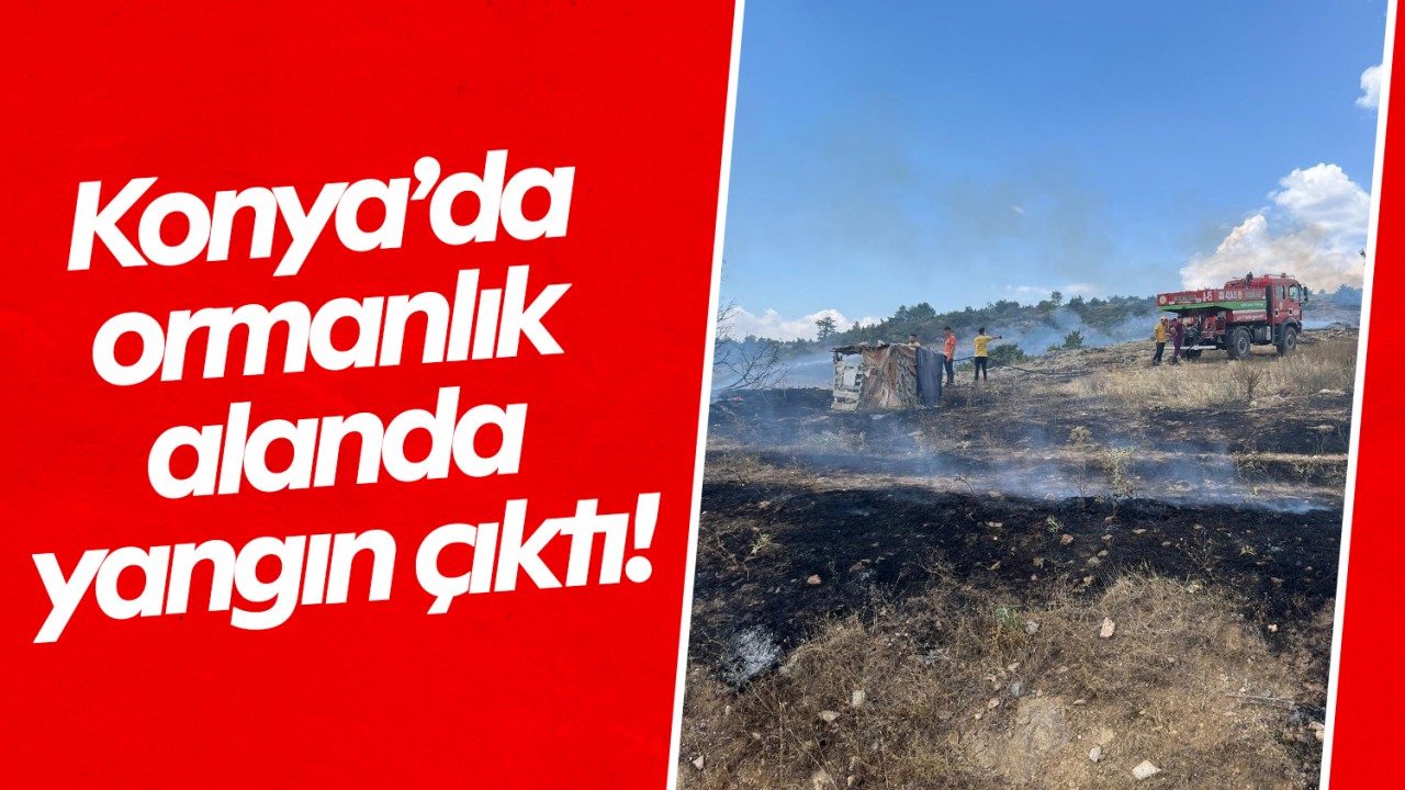 Konya’da ormanlık alanda yangın çıktı!