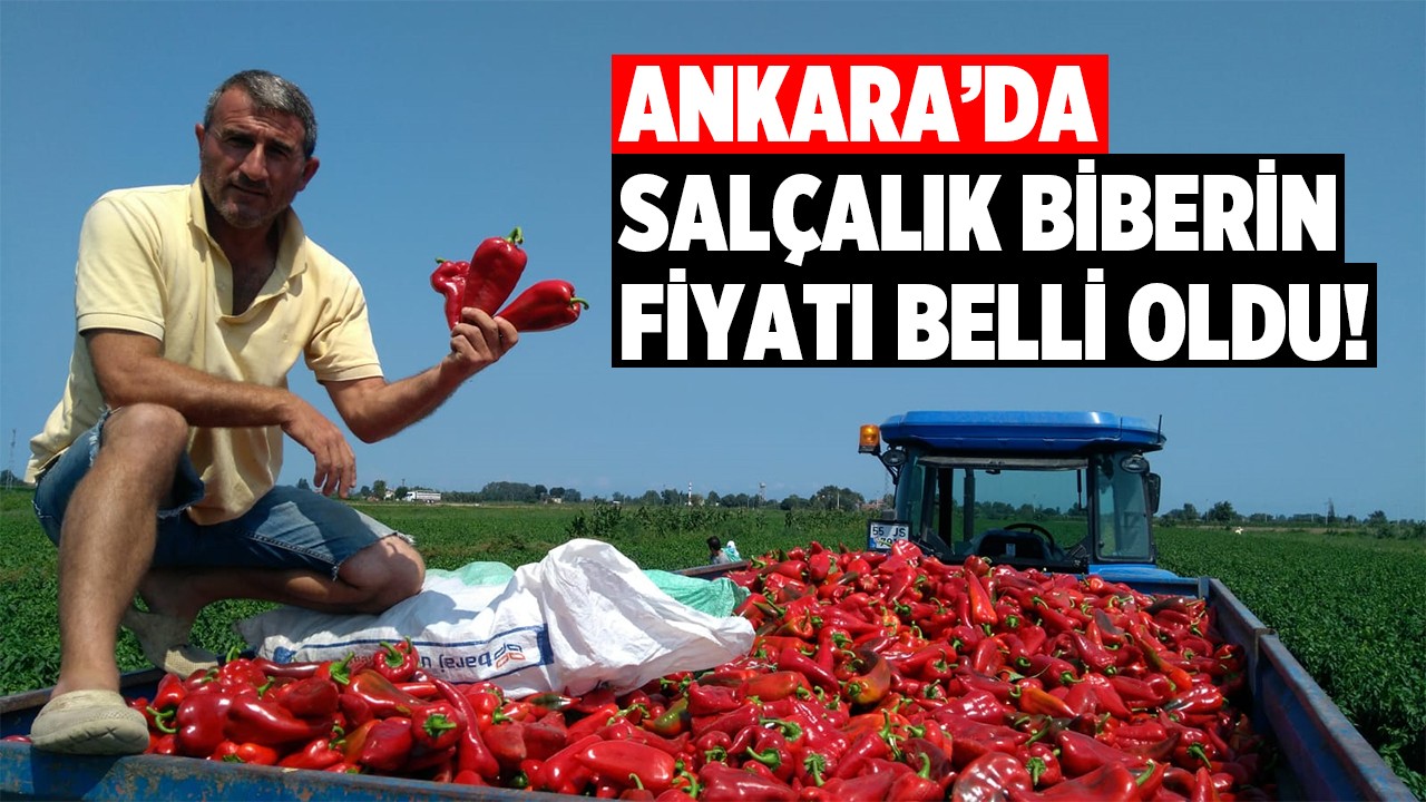 Ankara’da salçalık kapya biberin fiyatı belli oldu!