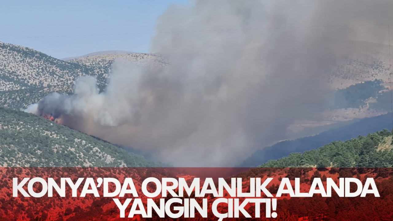 Konya’da ormanlık alanda yangın çıktı!