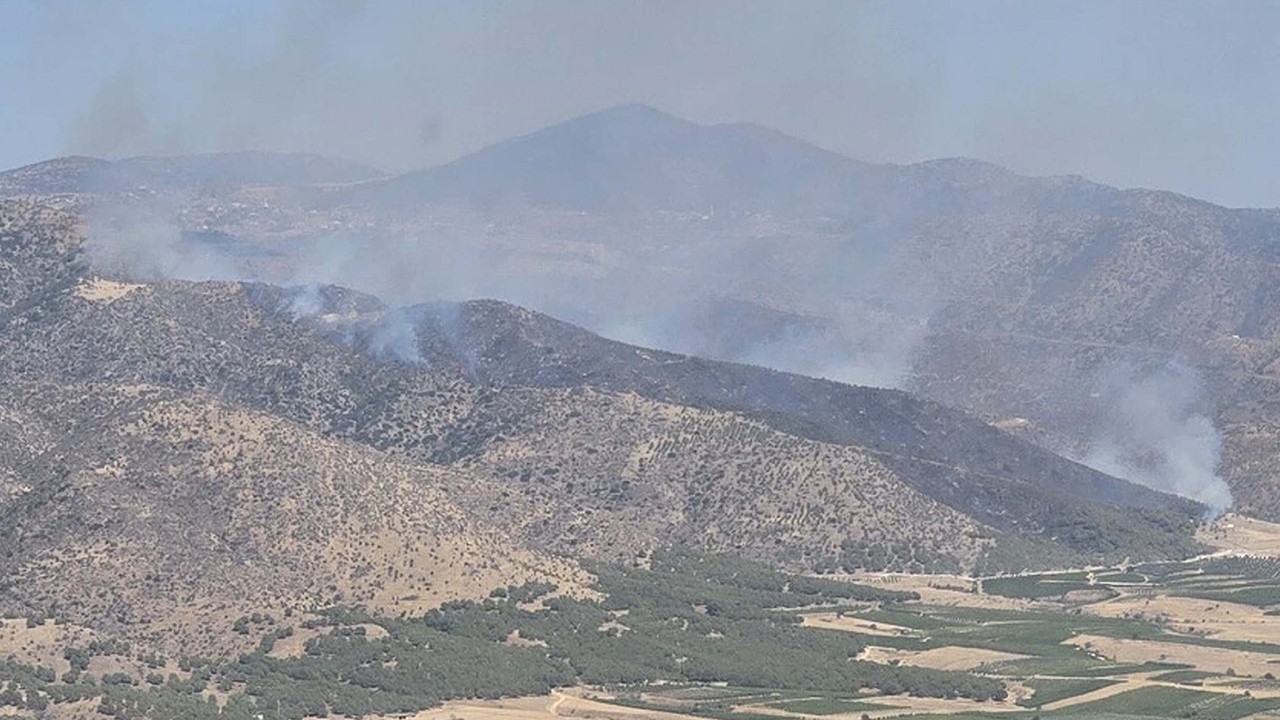 Manisa’da orman yangını