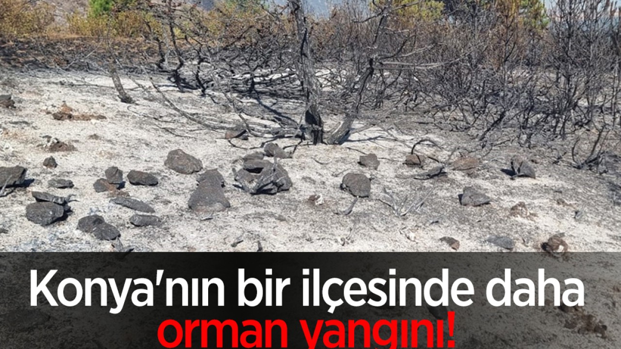 Konya’nın bir ilçesinde daha orman yangını!