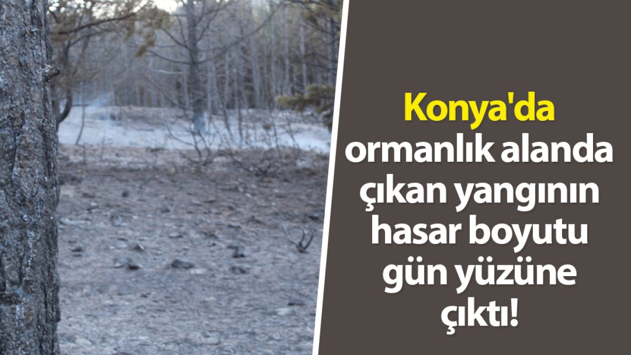 Konya’da ormanlık alanda çıkan yangının hasar boyutu gün yüzüne çıktı!