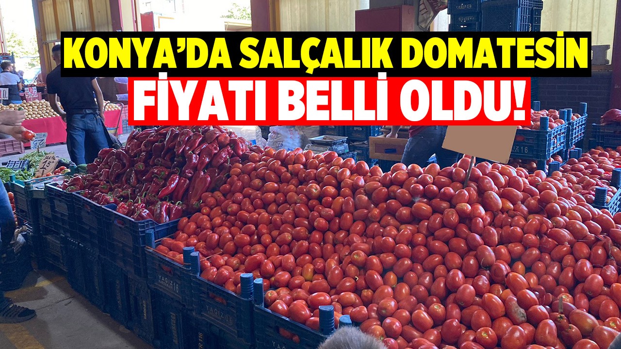 Konya’da salçalık domatesin fiyatı belli oldu!