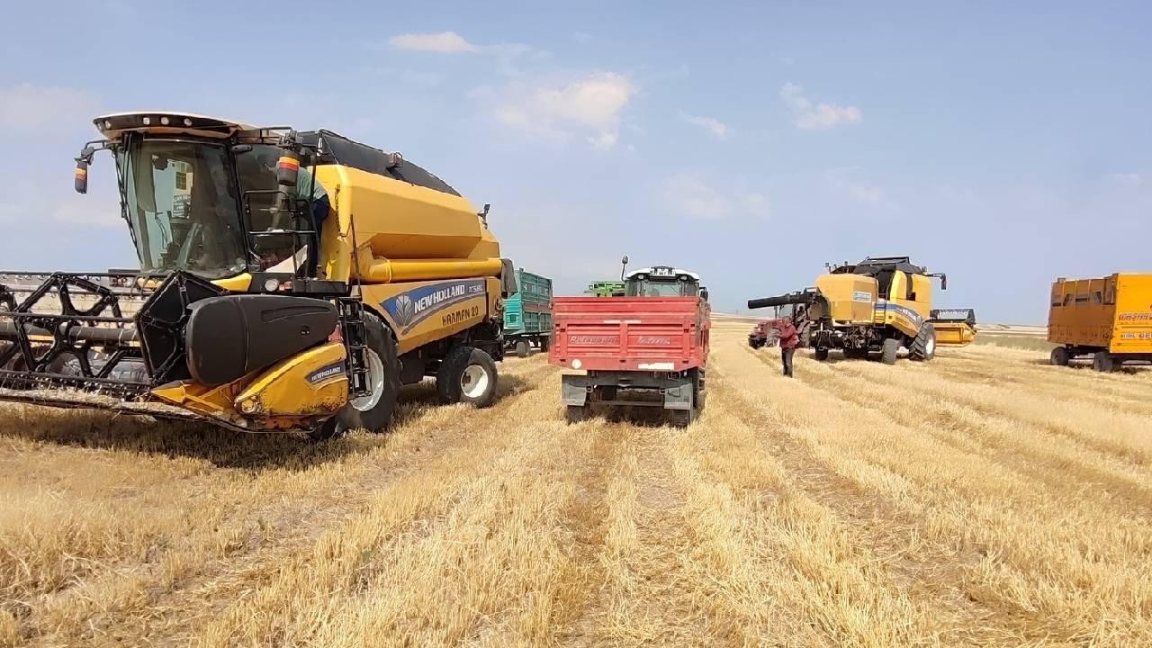 Tarımsal örgüt belgesinin geçerlilik süresi bir yıl olacak