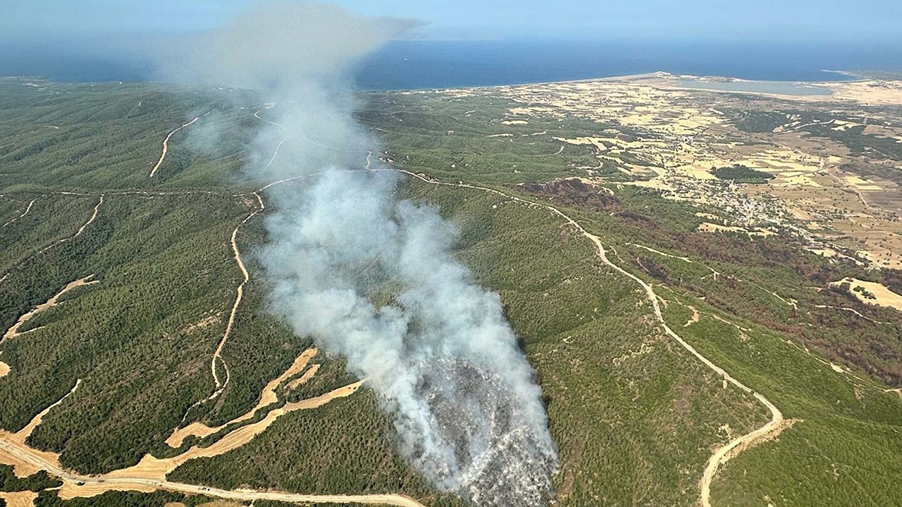 Çanakkale’de orman yangını