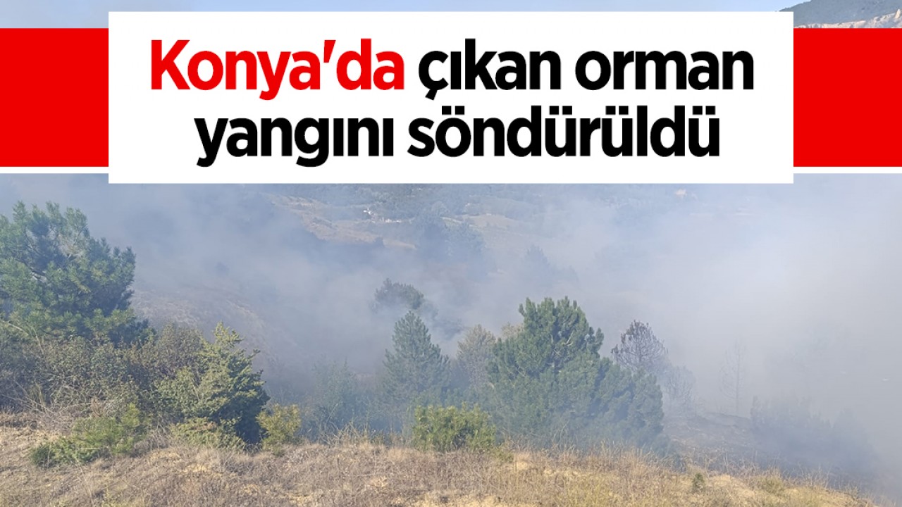 Konya’da çıkan orman yangını söndürüldü