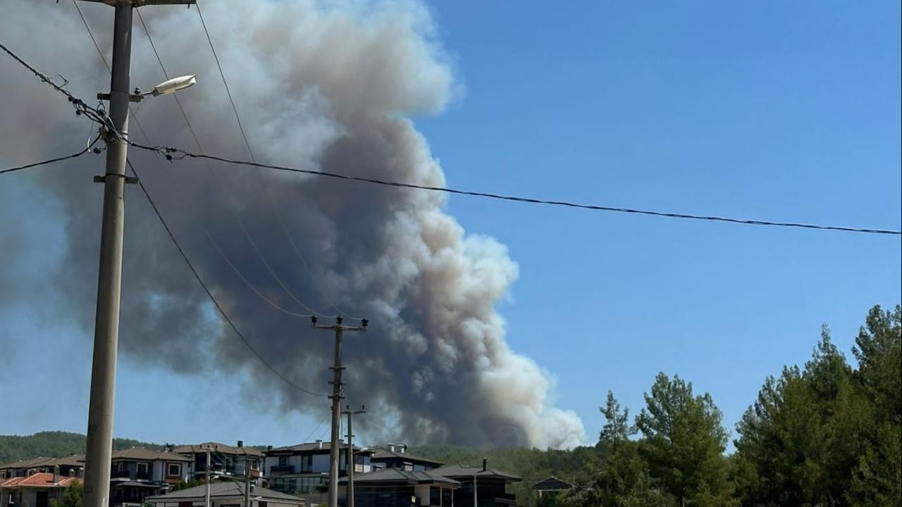 Muğla'da iki ayrı ilçede orman yangını