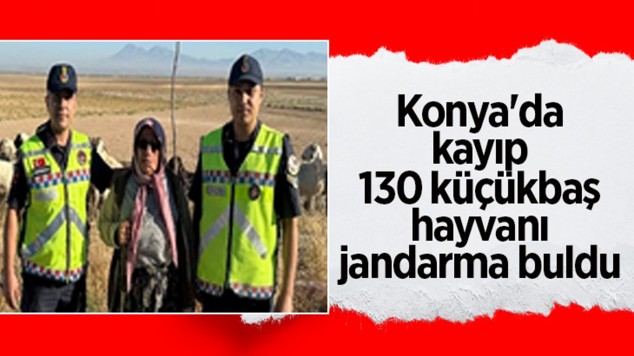 Konya’da kayıp 130 küçükbaş hayvanı jandarma buldu