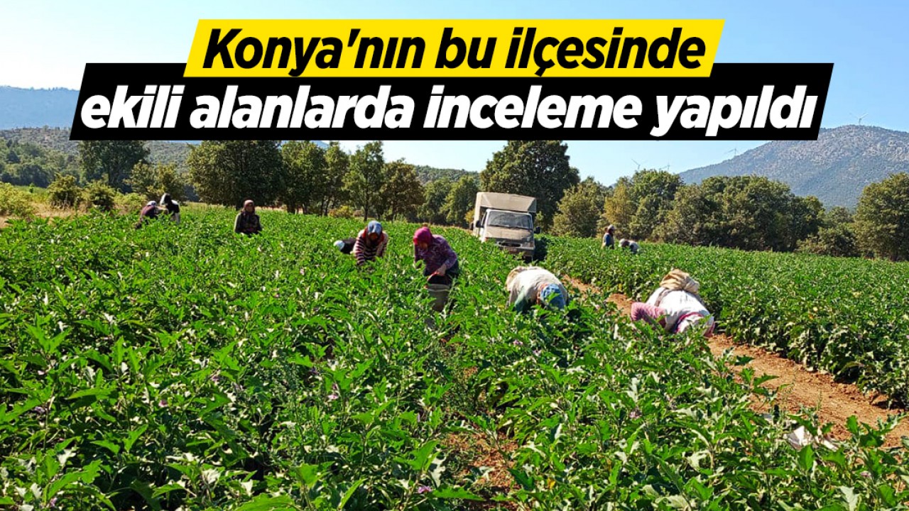 Konya’nın bu ilçesinde ekili alanlarda inceleme yapıldı