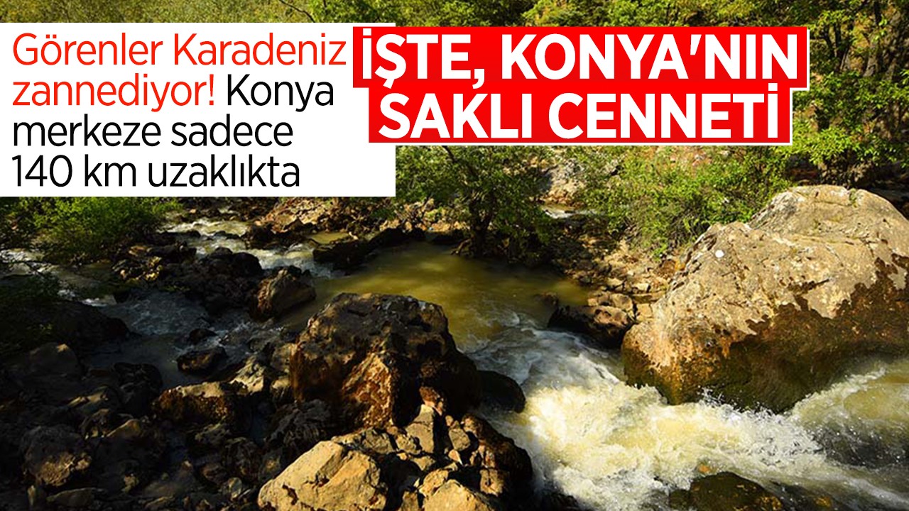 Görenler Karadeniz zannediyor! Konya merkeze sadece 140 km uzaklıkta: İşte, Konya’nın saklı cenneti