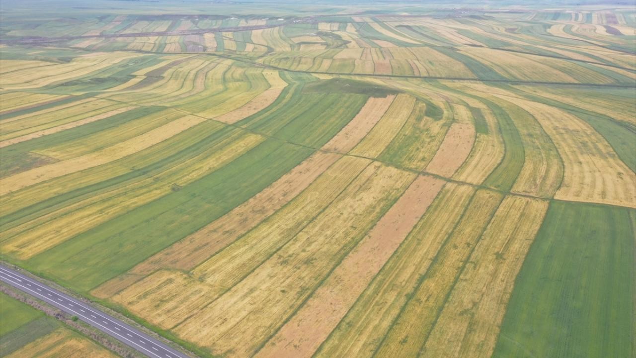 Bakanlıktan tarımsal üretim planlaması ve teşviki adımı