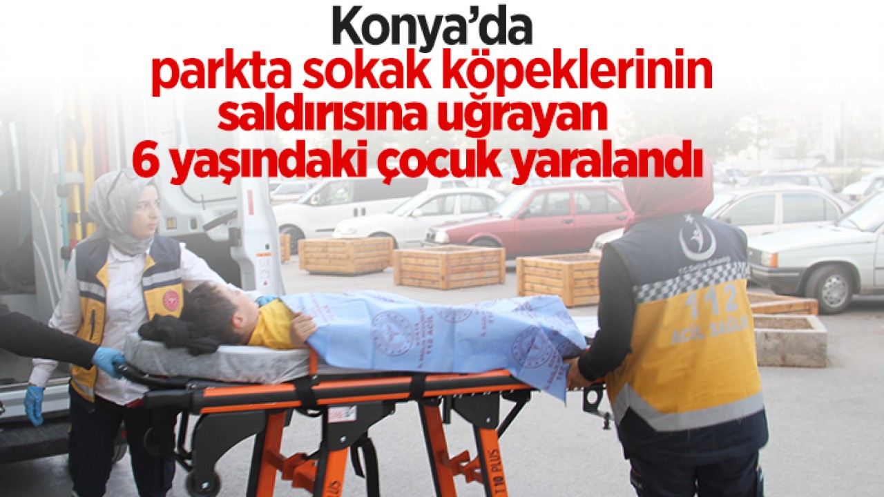 Konya’da parkta sokak köpeklerinin saldırısına uğrayan 6 yaşındaki çocuk yaralandı