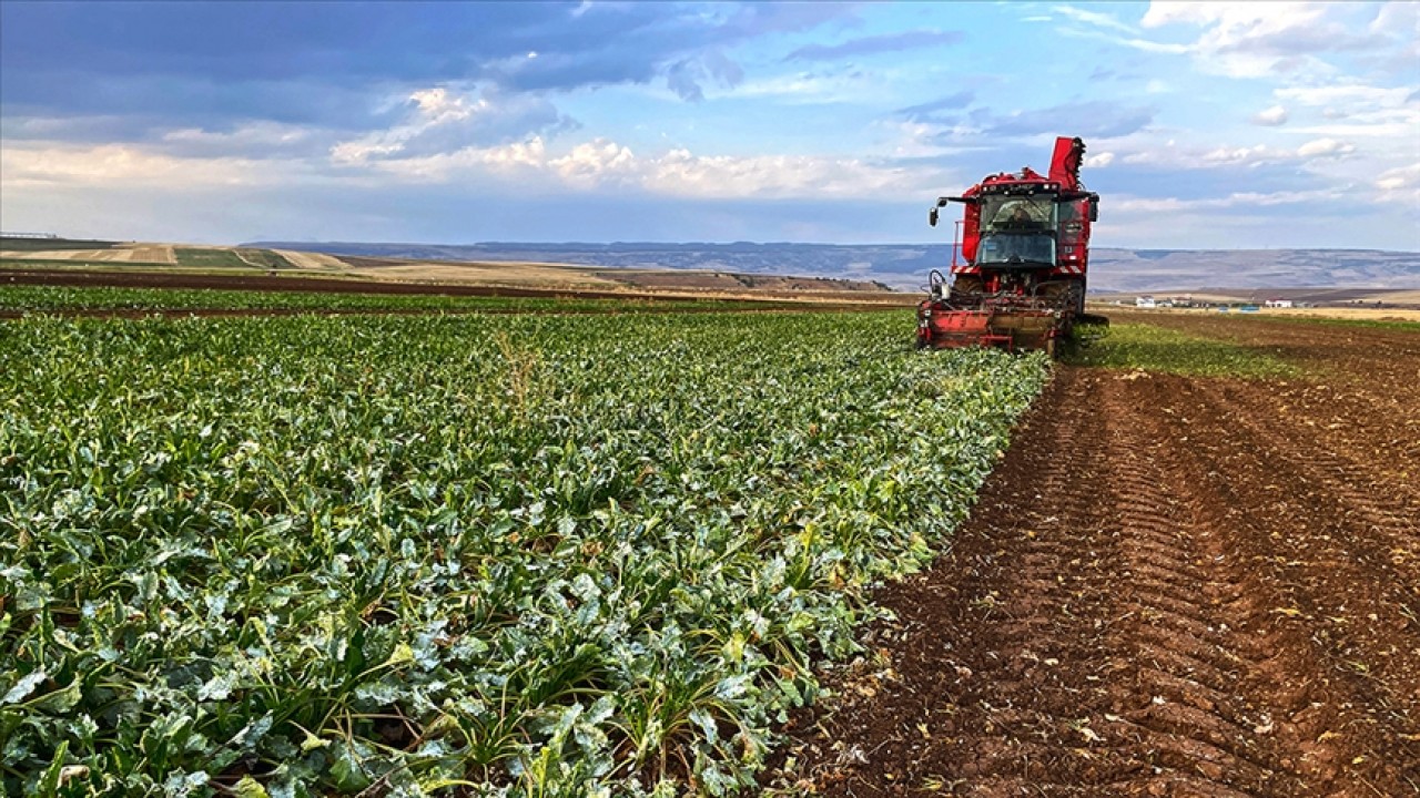 Çiftçilerin 2025 üretim yılına ilişkin ÇKS başvuruları, 1 Eylül’de başlayacak