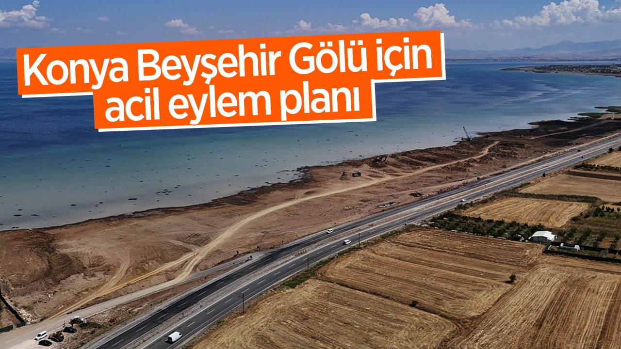 Konya Beyşehir Gölü için acil eylem planı