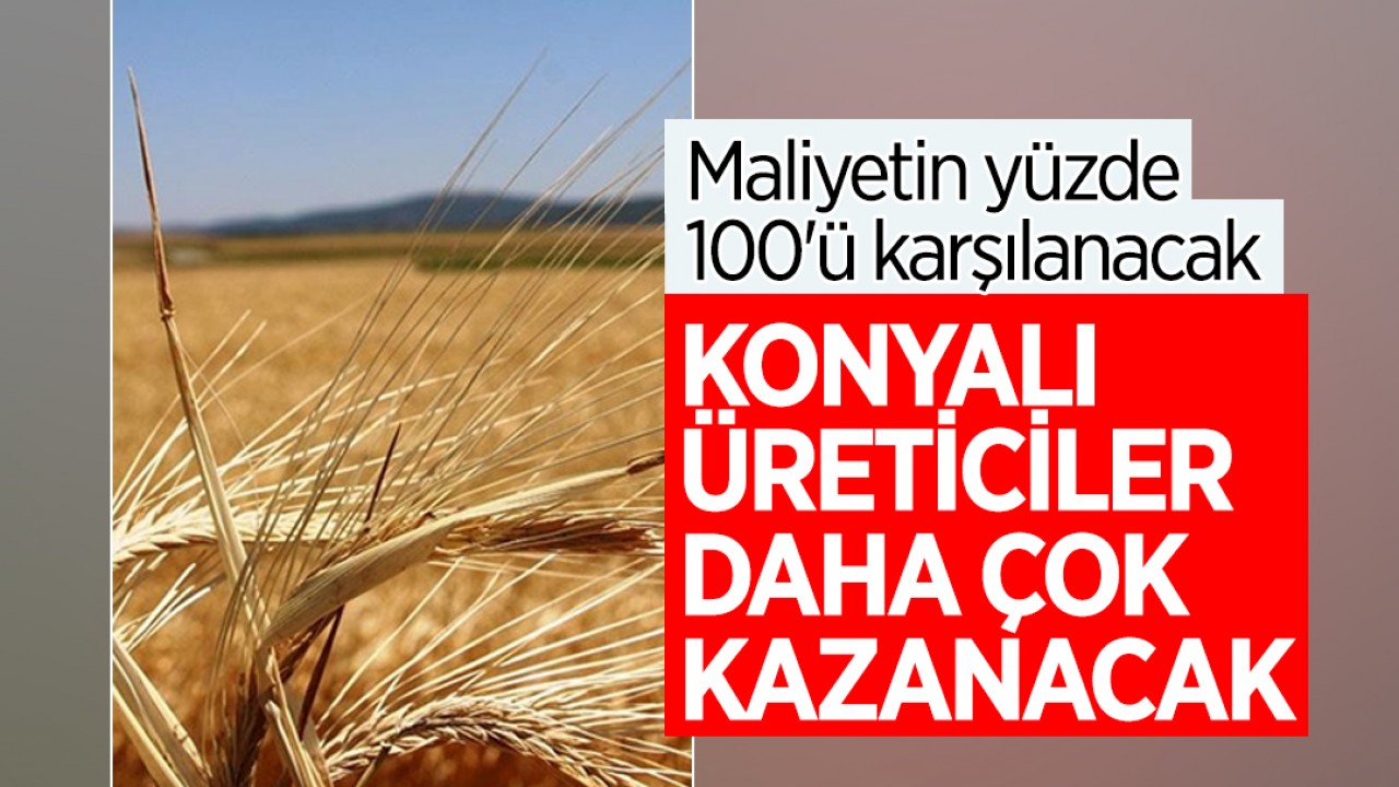 Maliyetin yüzde 100’ü karşılanacak: Konyalı üreticiler daha çok kazanacak