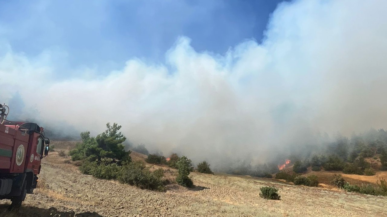 Kahramanmaraş’ta orman yangını