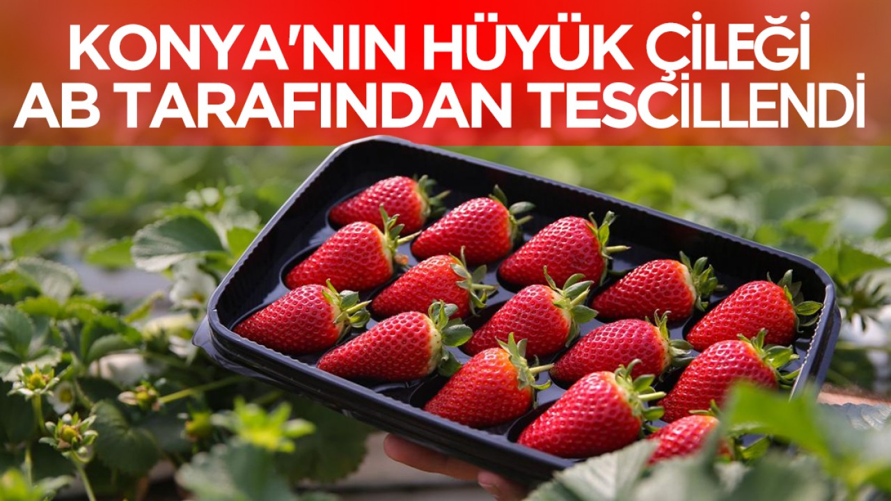 Konya'nın Hüyük çileği AB tarafından tescillendi