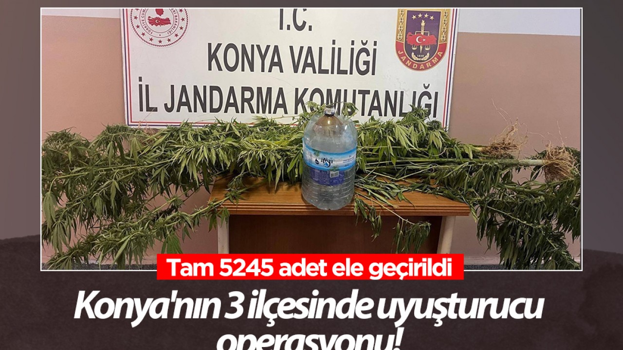 Konya’nın 3 ilçesinde uyuşturucu operasyonu! Tam 5245 adet ele geçirildi