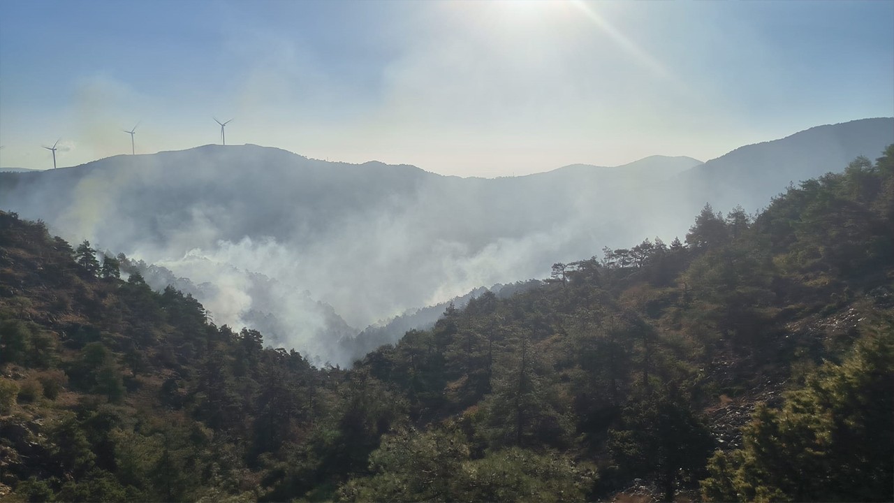 Hatay’da orman yangını