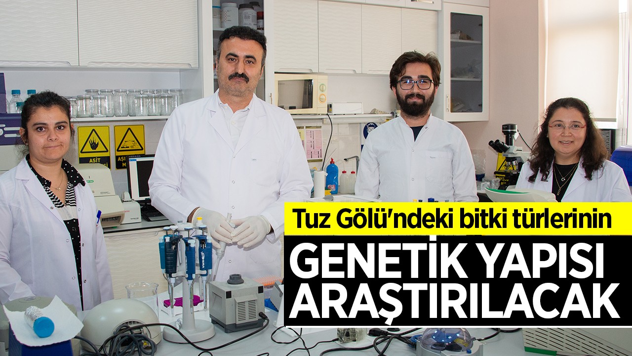 Tuz Gölü’ndeki bitki türlerinin genetik yapısı araştırılacak