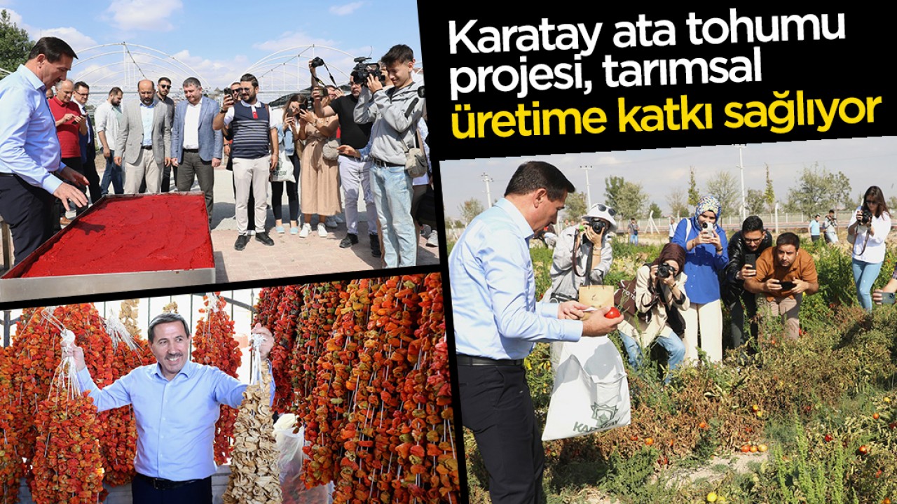 Karatay ata tohumu projesi, tarımsal üretime katkı sağlıyor