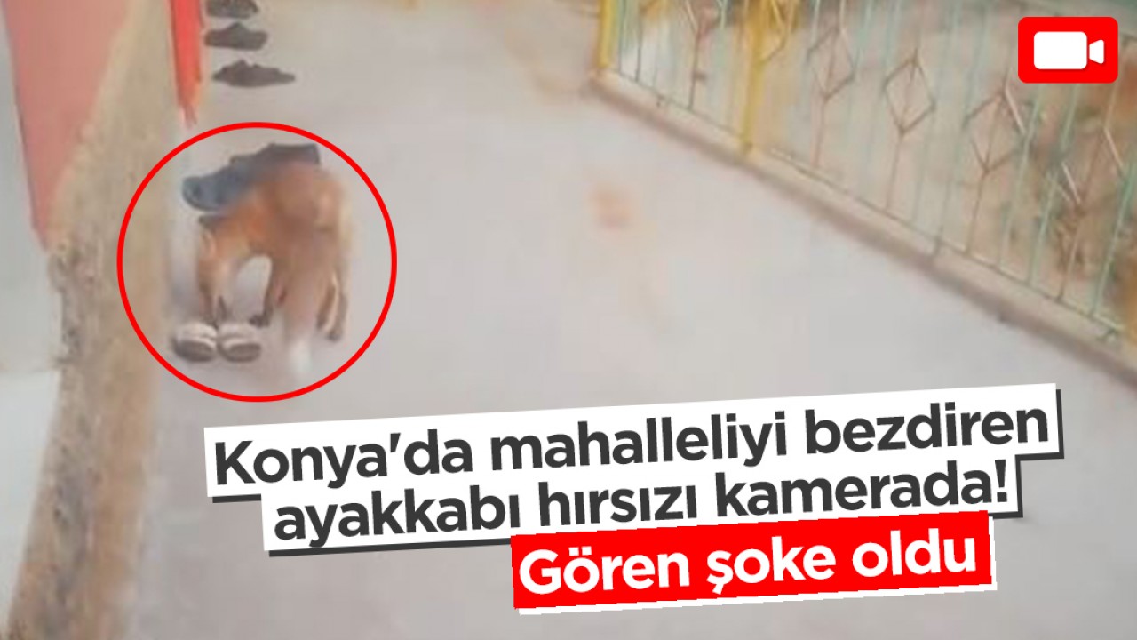 Konya’da mahalleliyi bezdiren ayakkabı hırsızı kamerada! Gören şoke oldu