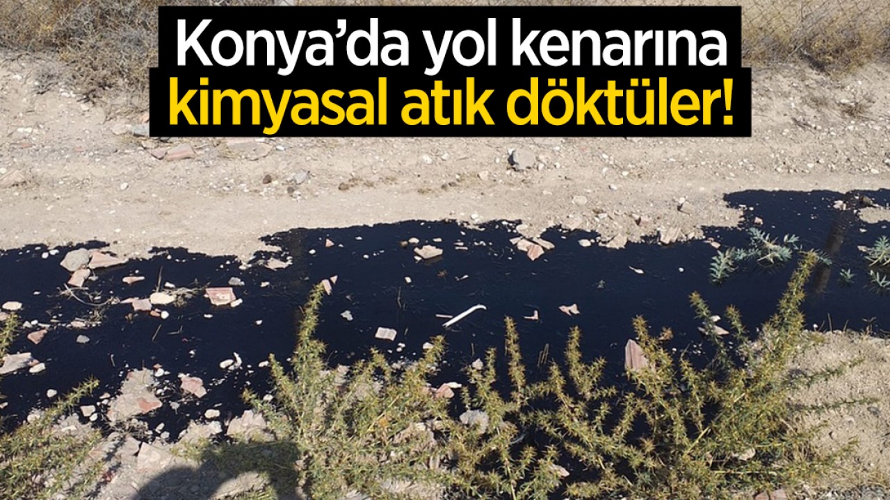 Konya'da yol kenarına kimyasal atık döktüler!