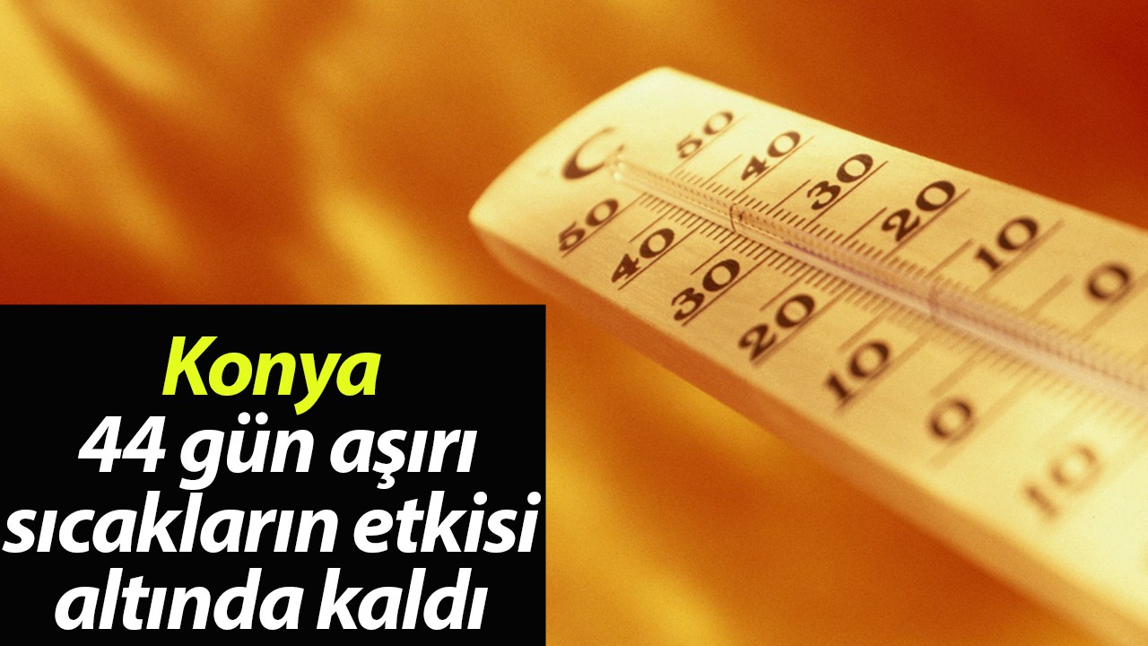 Konya 44 gün aşırı sıcakların etkisi altında kaldı