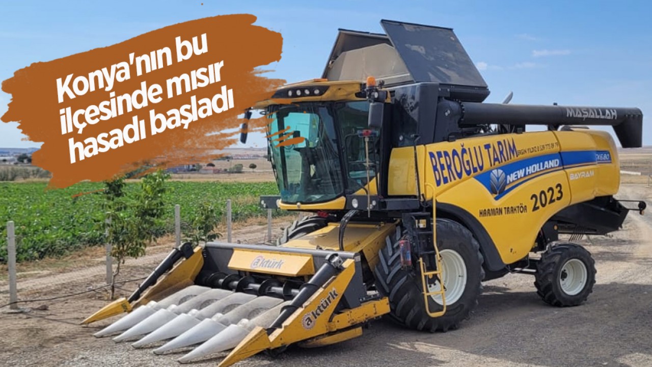 Konya’nın bu ilçesinde mısır hasadı başladı