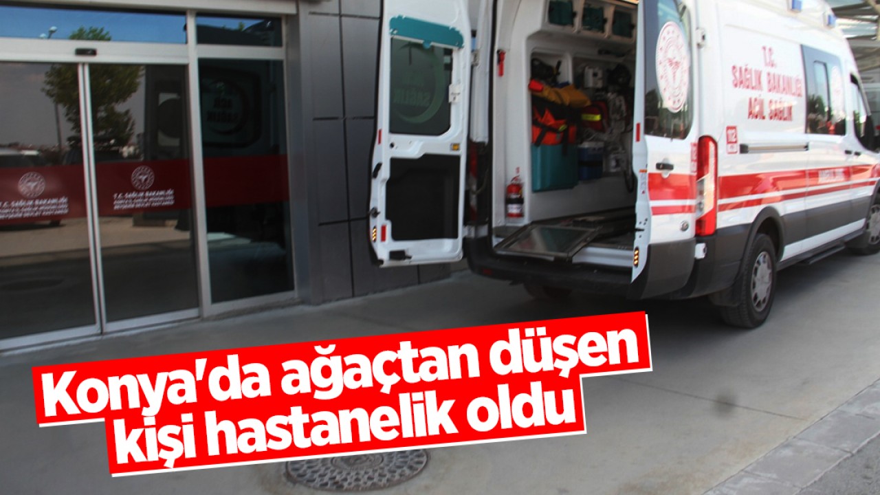 Konya’da ağaçtan düşen kişi hastanelik oldu