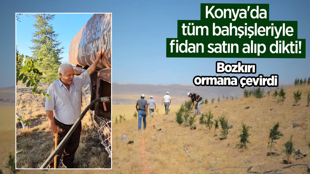 Konya’da tüm bahşişleriyle fidan satın alıp dikti! Bozkırı ormana çevirdi