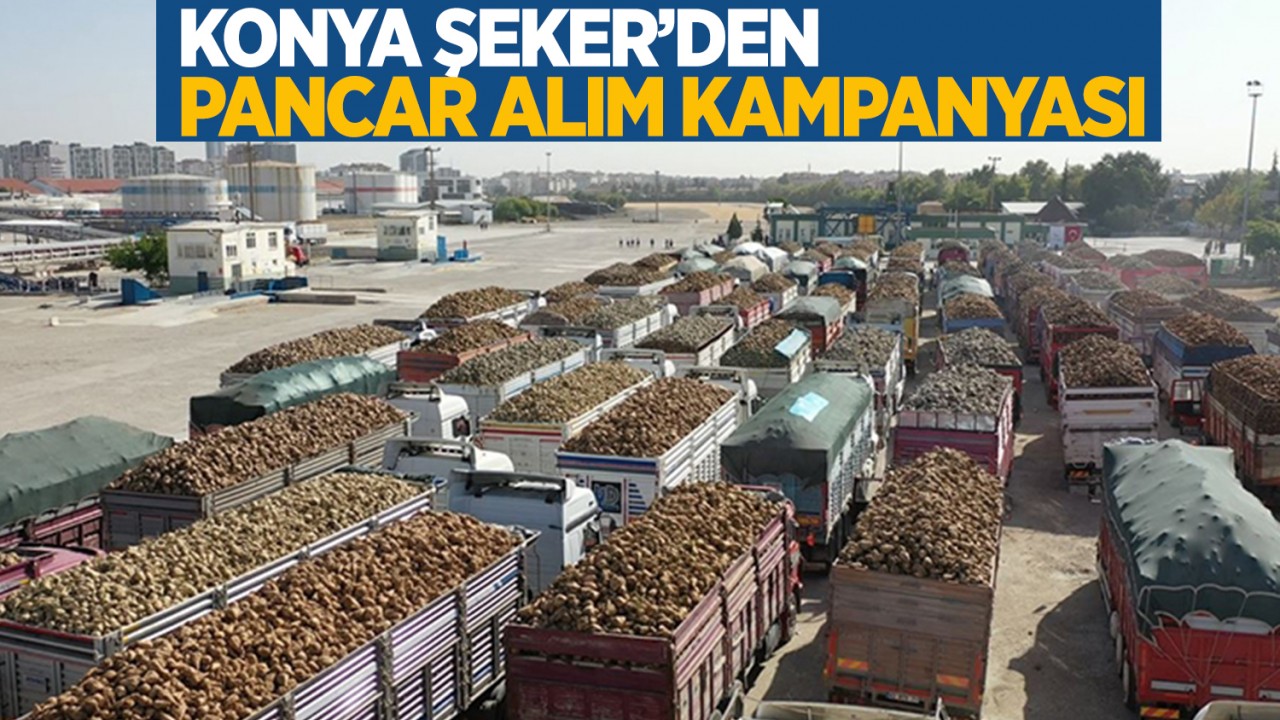 Konya Şeker’den pancar alım kampanyası