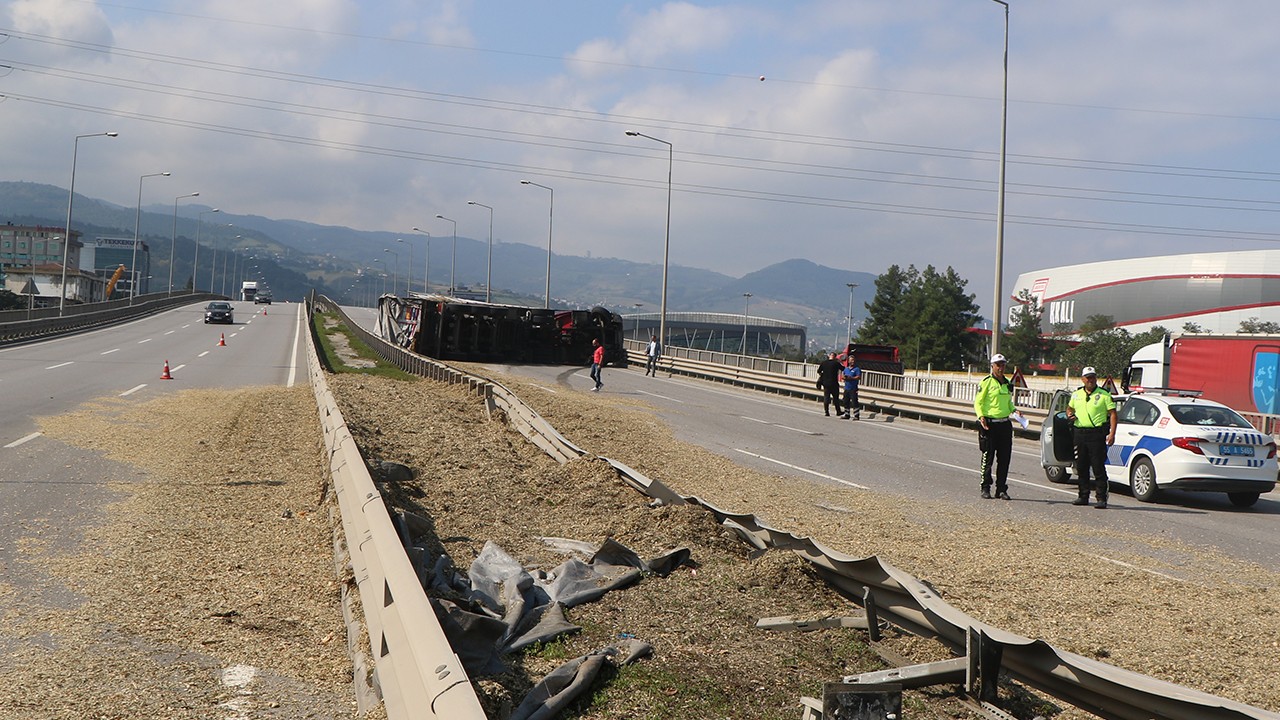 Sürücüsünü arı sokan TIR, devrildi