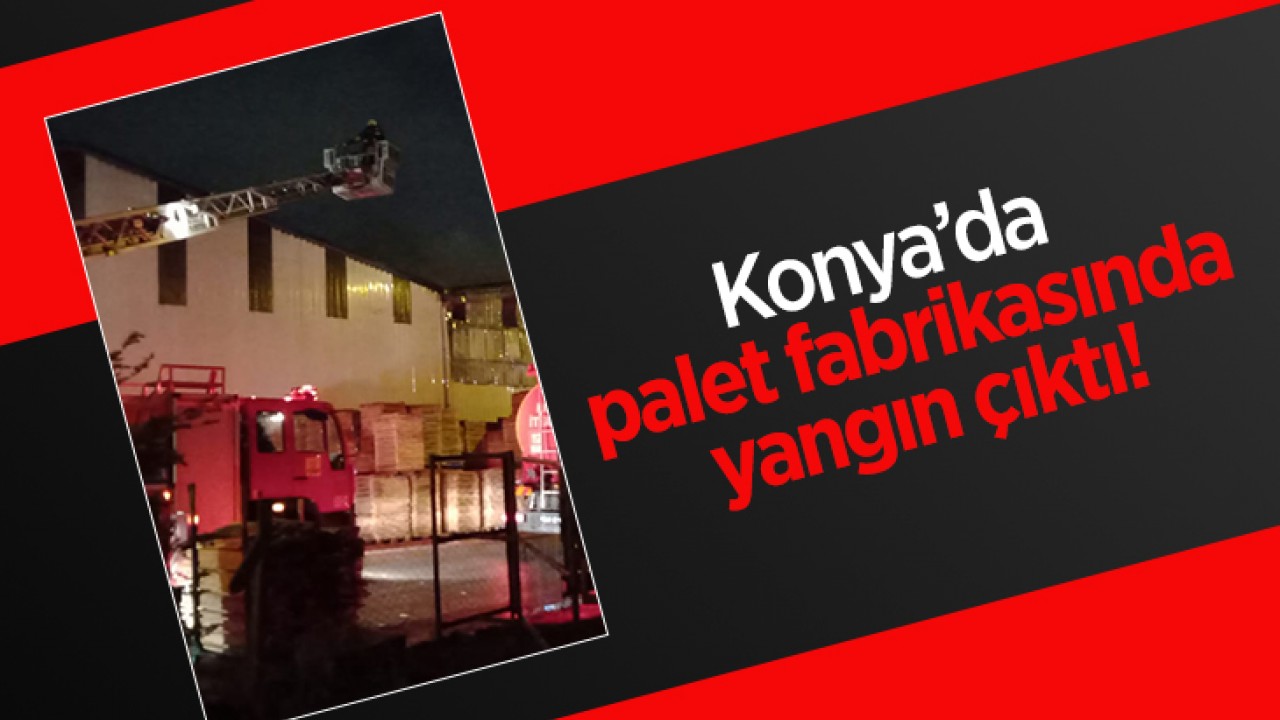 Konya'da palet fabrikasında yangın çıktı!