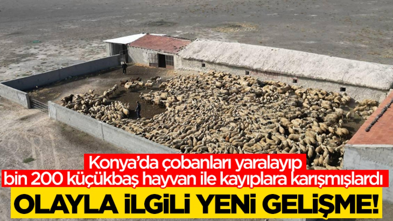 Konya’da çobanları yaralayıp bin 200 küçükbaş hayvan ile kayıplara karışmışlardı: Olayla ilgili yeni gelişme!