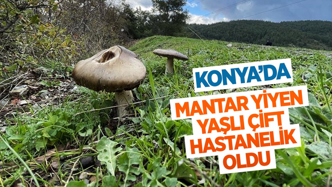 Konya’da mantar yiyen yaşlı çift hastanelik oldu