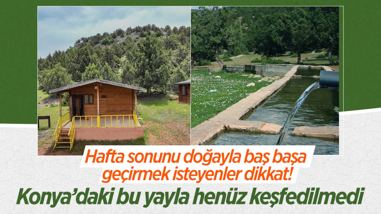 Hafta sonunu doğayla baş başa geçirmek isteyenler dikkat! Konya’daki bu yayla henüz keşfedilmedi 