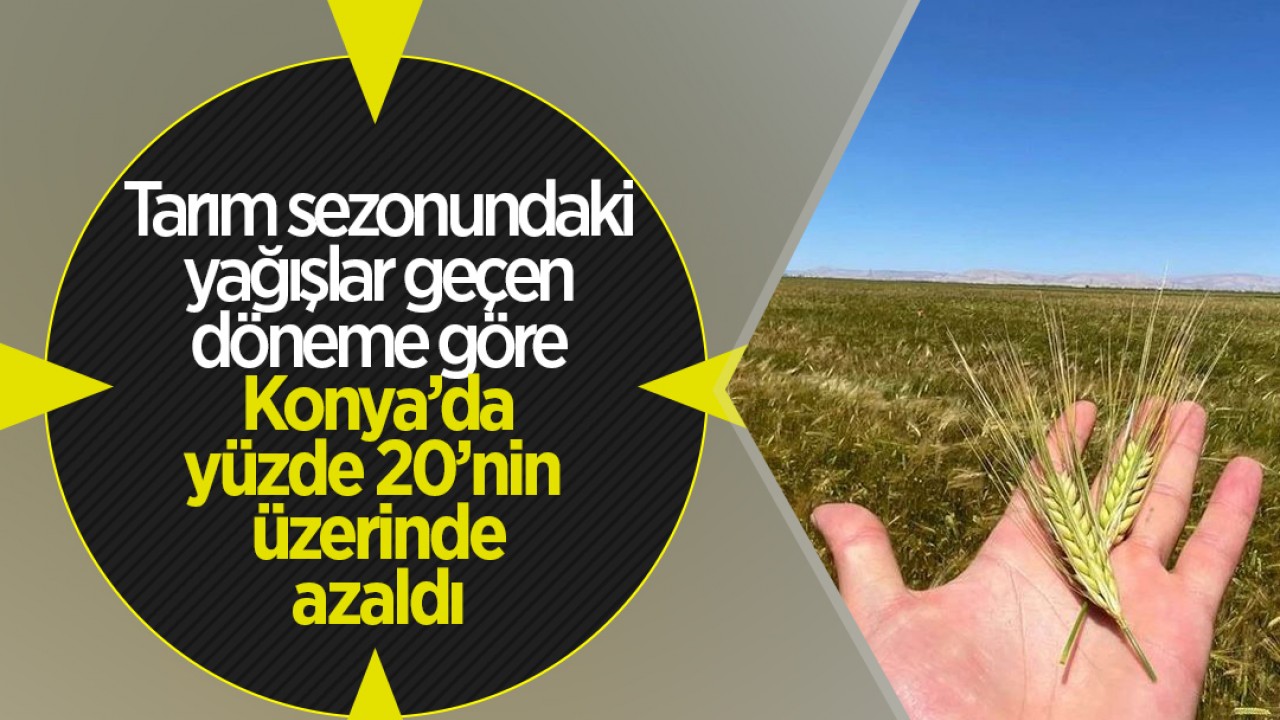 Tarım sezonundaki yağışlar geçen döneme göre Konya'da yüzde 20'nin üzerinde azaldı!