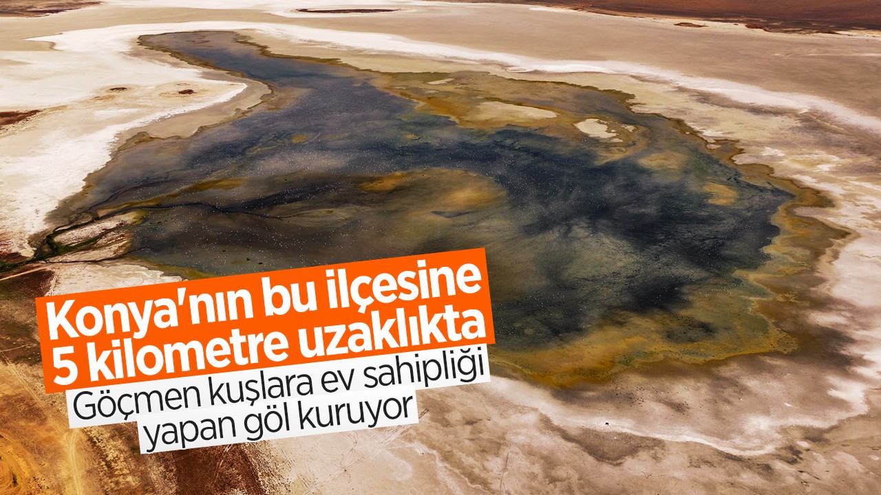 Konya’nın bu ilçesine 5 kilometre uzaklıkta! Göçmen kuşlara ev sahipliği yapan göl kuruyor