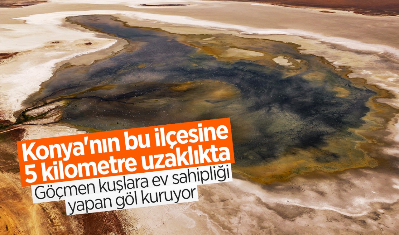 Konya'nın bu ilçesine 5 kilometre uzaklıkta! Göçmen kuşlara ev sahipliği yapan göl kuruyor