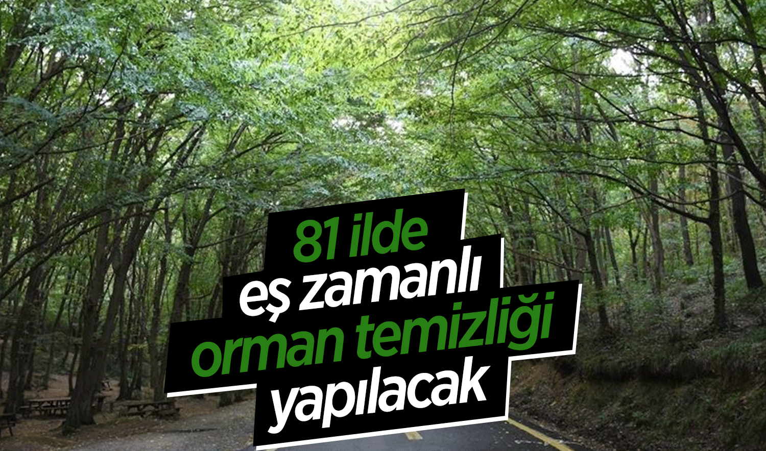 81 ilde eş zamanlı orman temizliği yapılacak