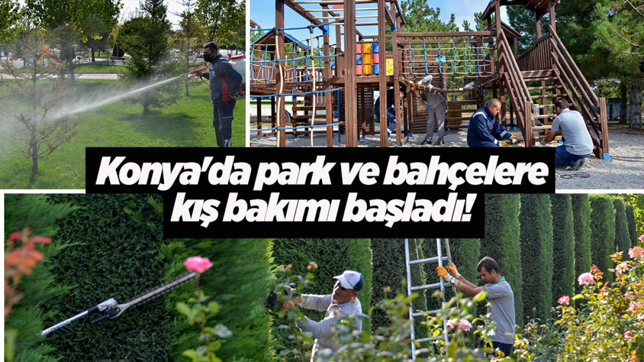 Konya'da park ve bahçelere kış bakımı başladı! 