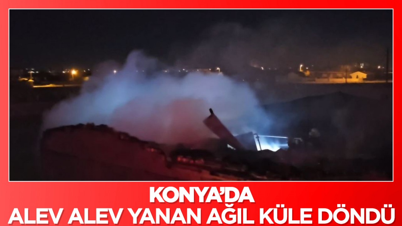 Konya’da alev alev yanan ağıl küle döndü