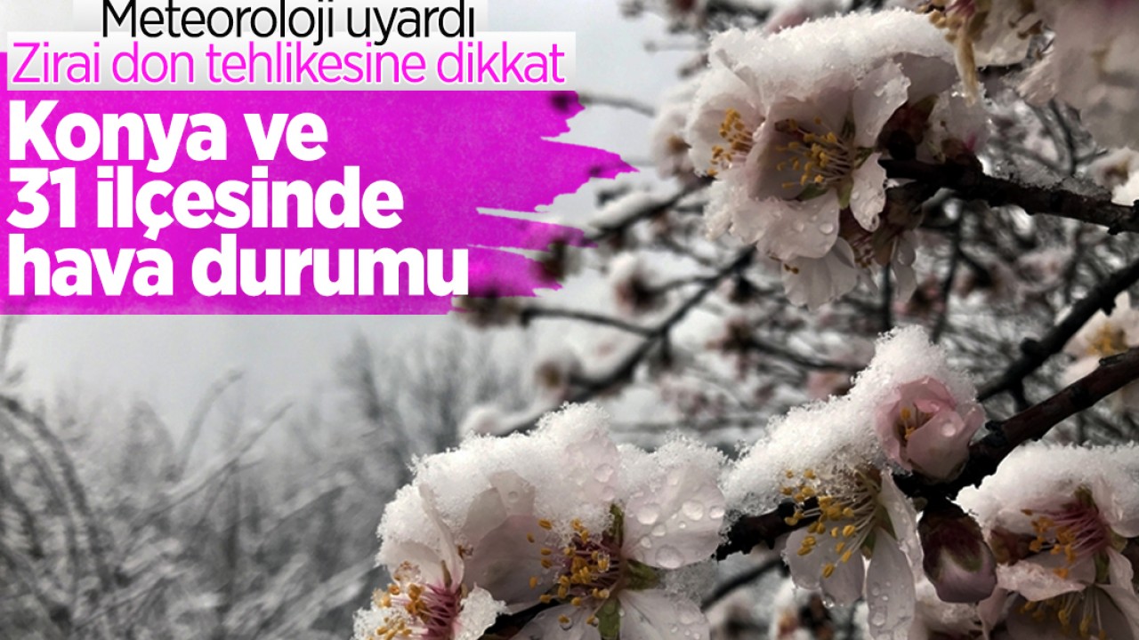 Meteoroloji uyardı: Zirai don tehlikesine dikkat! İşte Konya ve 31 ilçesinde hava durumu